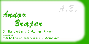 andor brajer business card